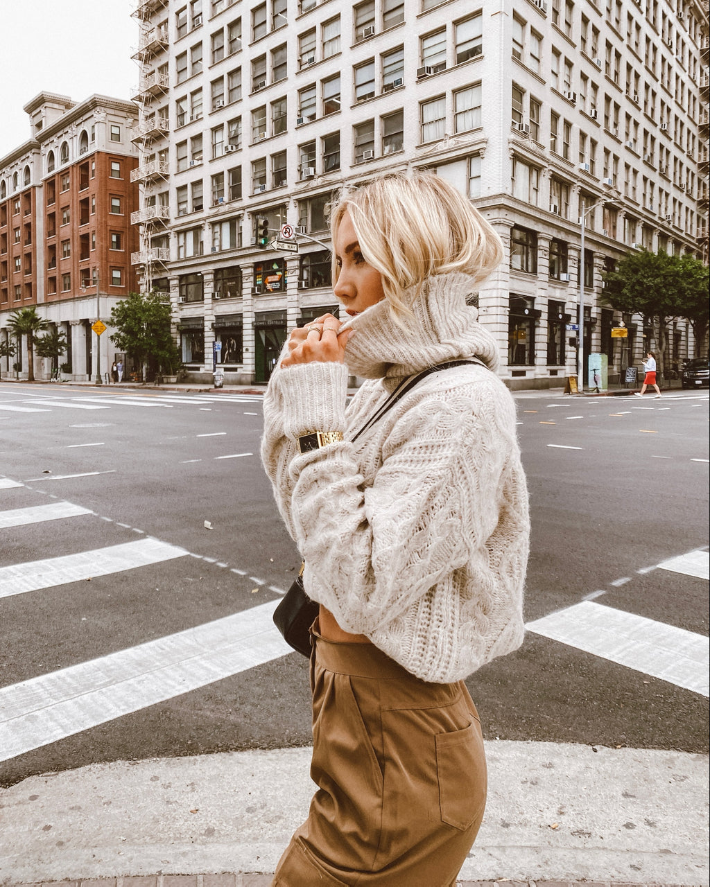 Cable Knit Turtle